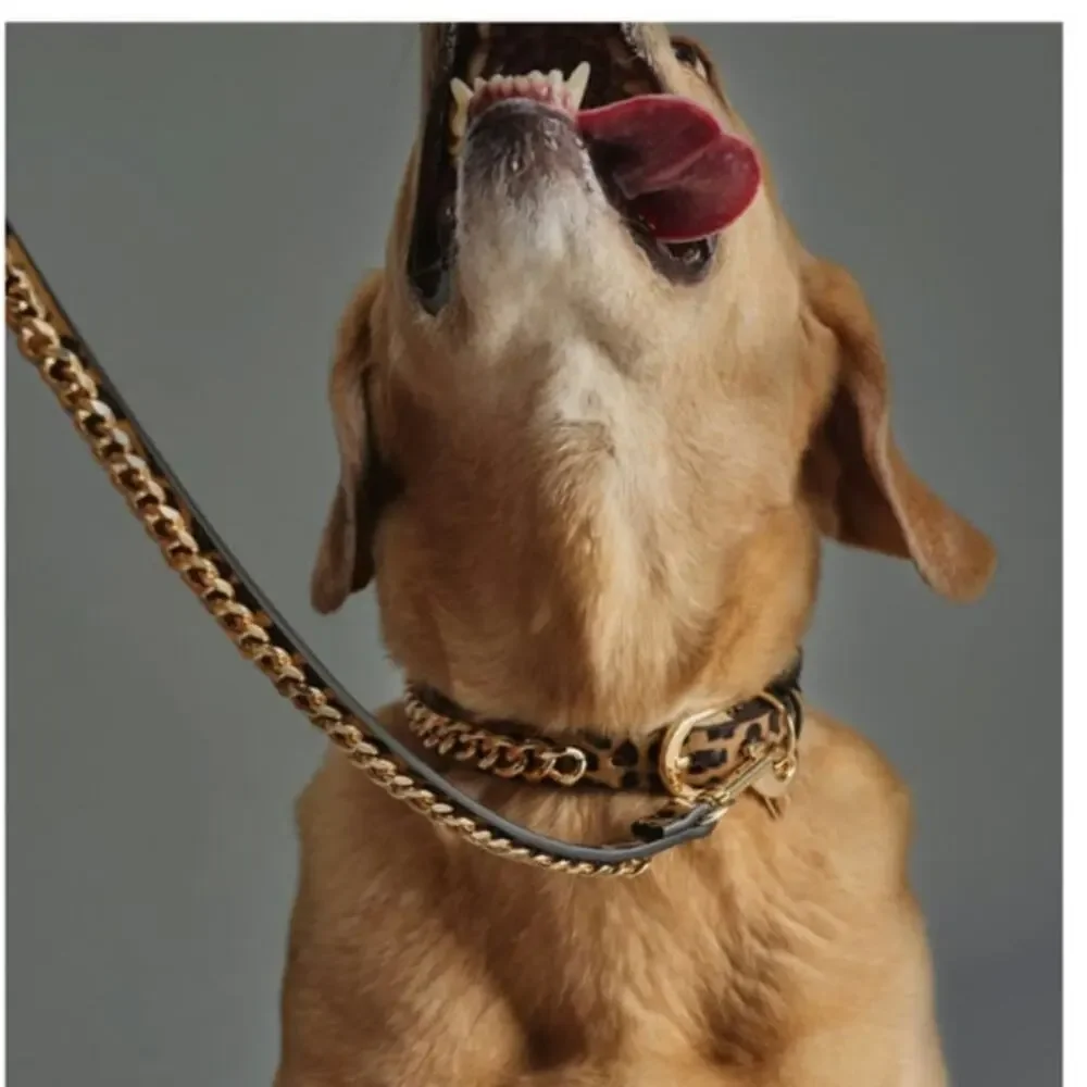 ALDO GOLD CHAIN PET 3FT LONG LEASH